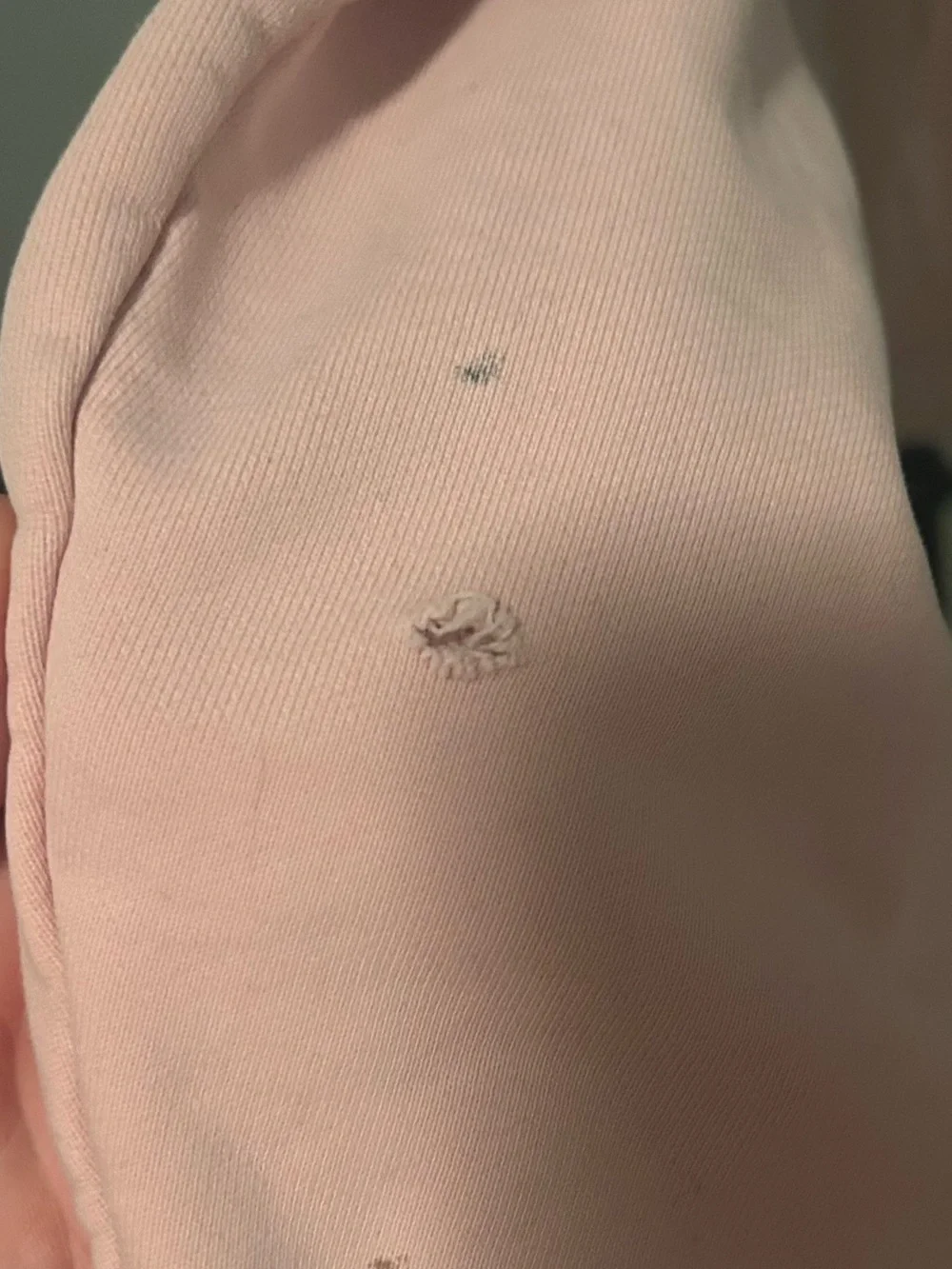 Coach Pink Floral Carriage Crewneck Sweatshirt